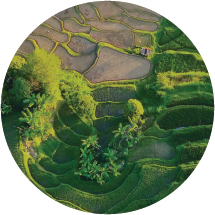 Đông Nam Á